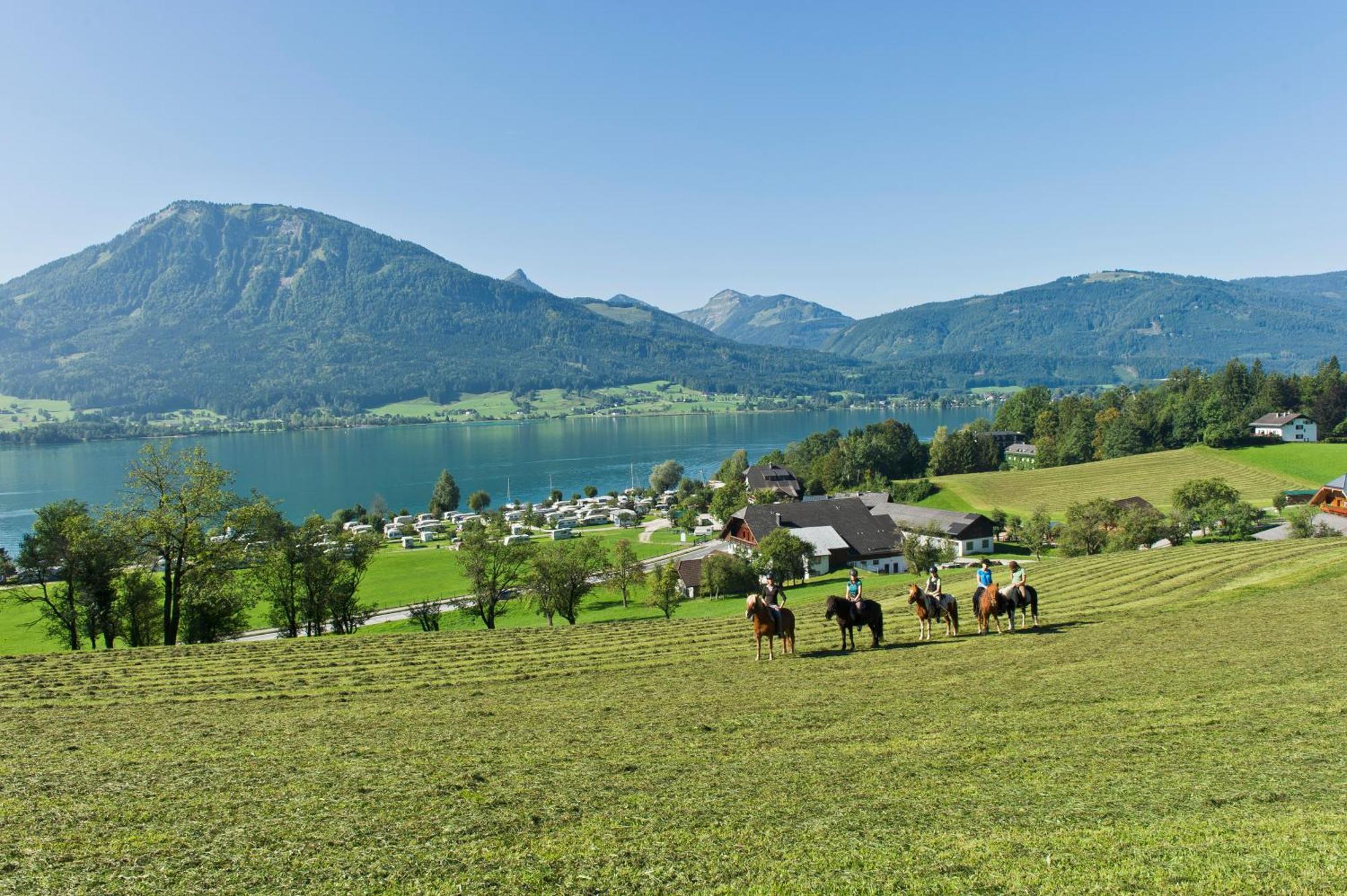 Reiterhof Suassbauer Villa Saint Wolfgang Exteriör bild
