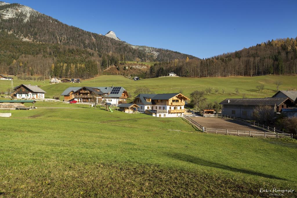 Reiterhof Suassbauer Villa Saint Wolfgang Exteriör bild
