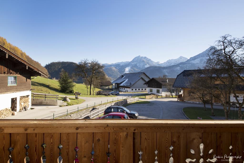 Reiterhof Suassbauer Villa Saint Wolfgang Rum bild